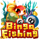 Bingo Fishing - Jibb App