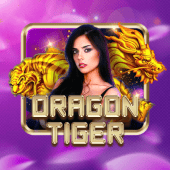 Dragon Tiger - Jibb App